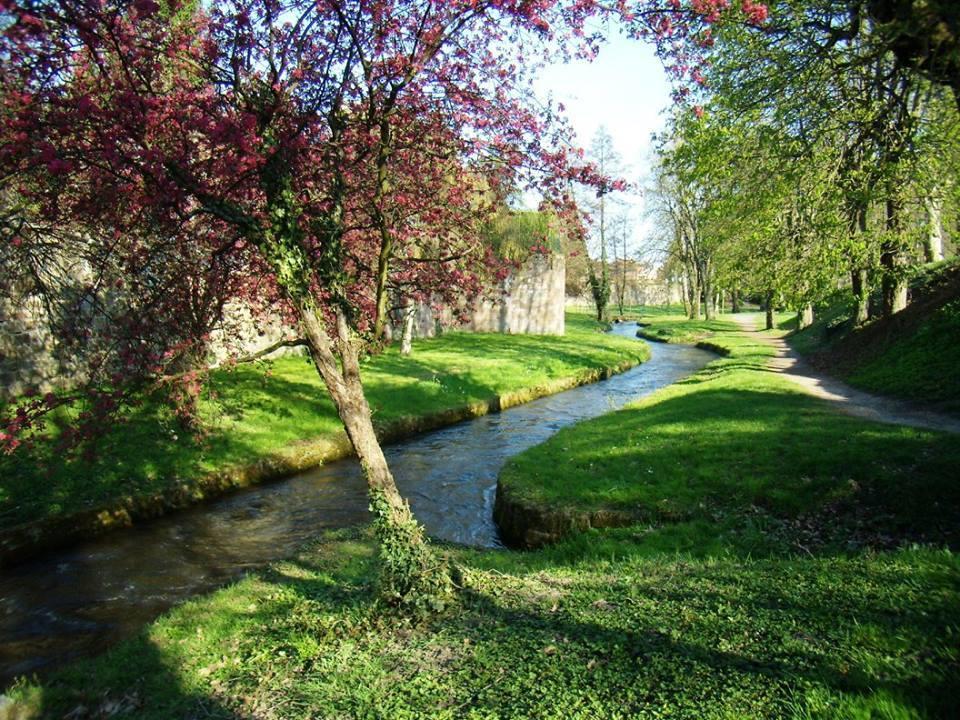 Chambre d'hôtes Du côté des remparts Wissembourg Exterior foto